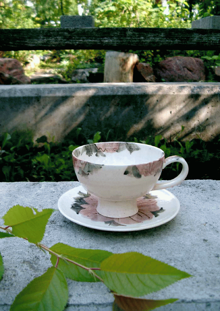 �e�B�[�J�b�v